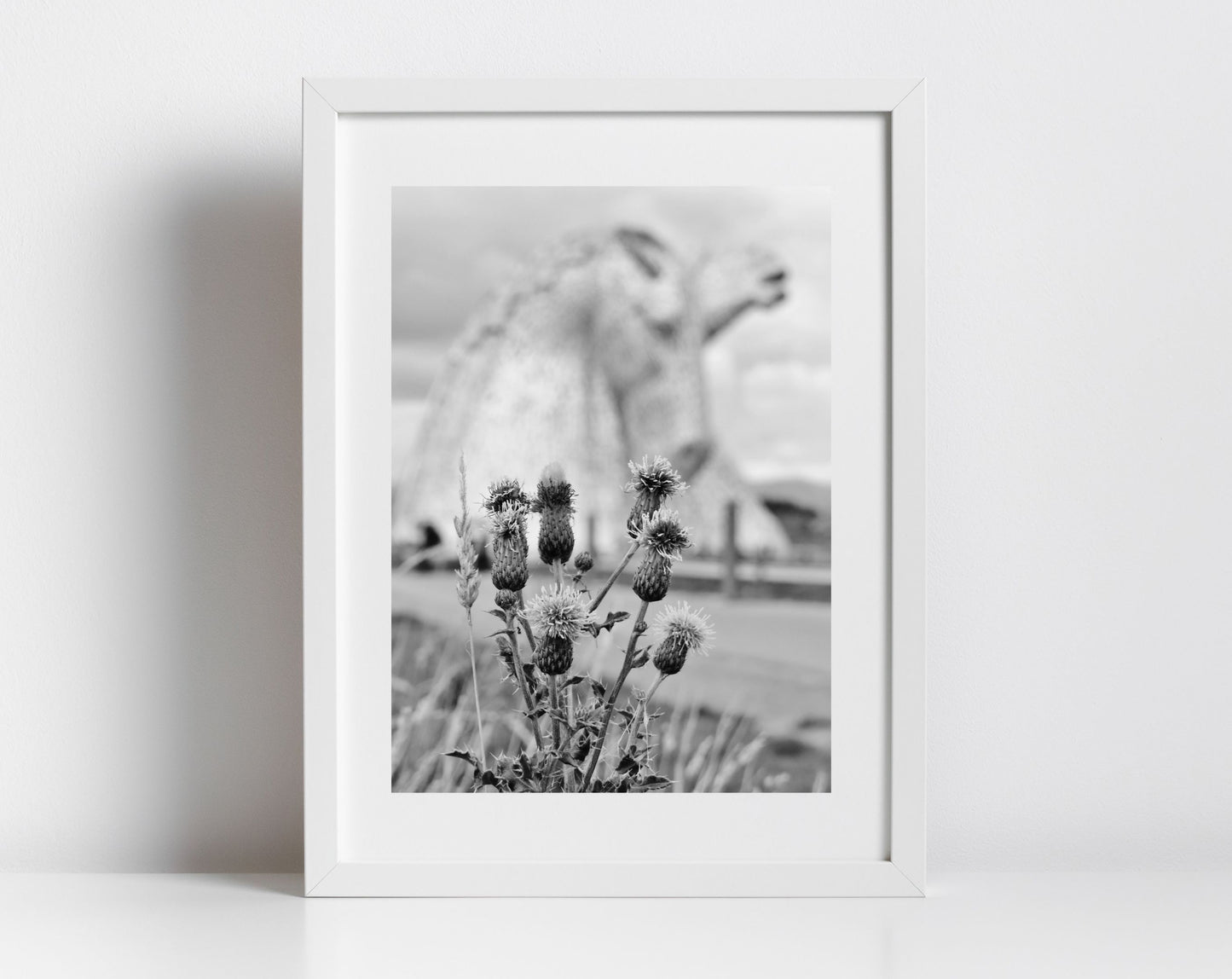 Falkirk Kelpies Scottish Thistle Black And White Print