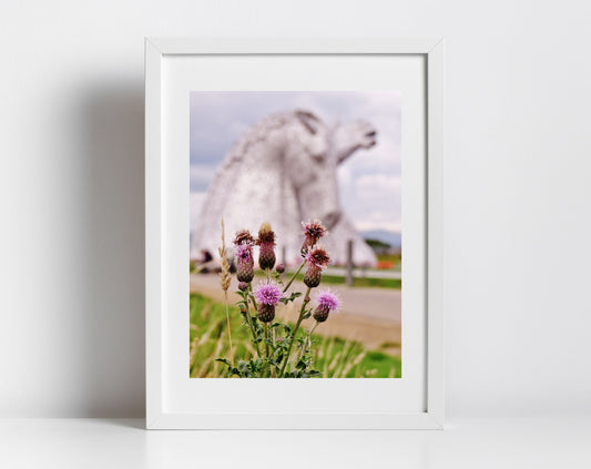 Scotland Photography Falkirk Kelpies Scottish Thistle Print