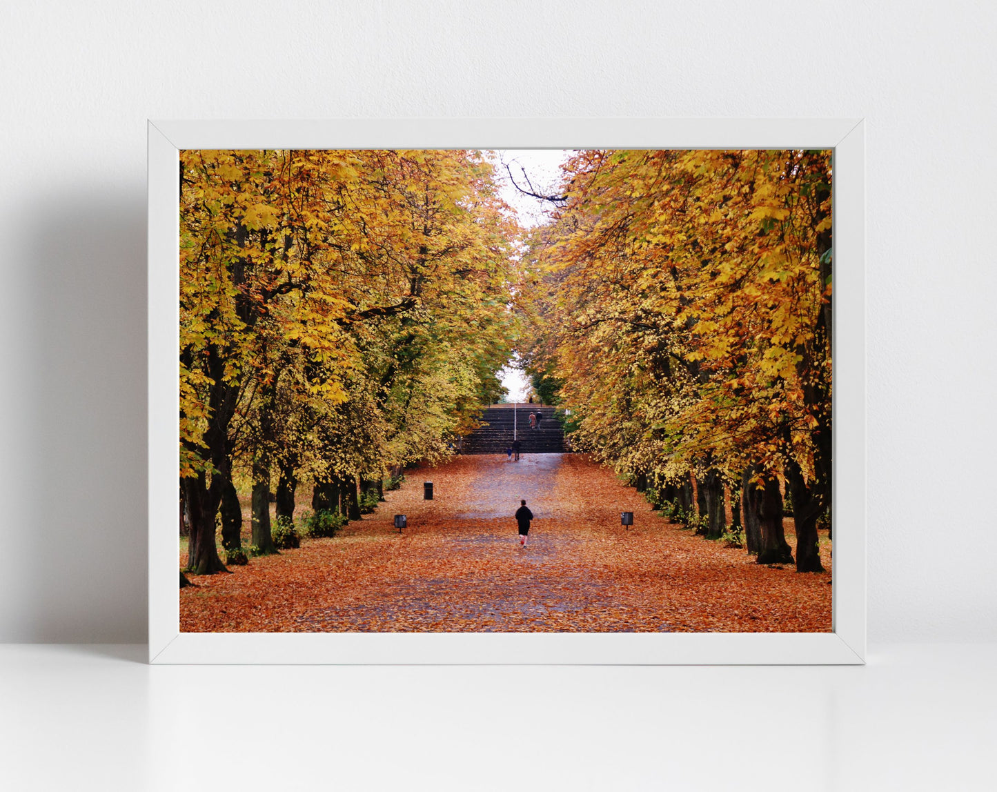 Glasgow Queen's Park Autumn Fall Foliage Photography Print Poster Wall Art