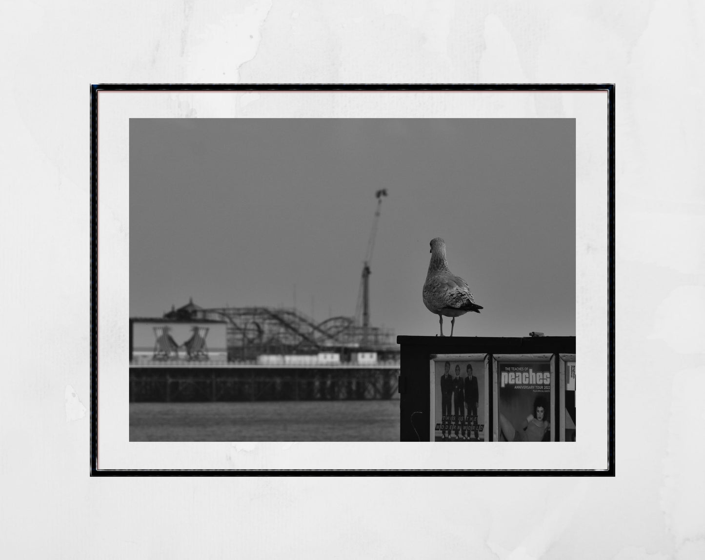 Brighton Palace Pier Photography Black And White Seagull Art