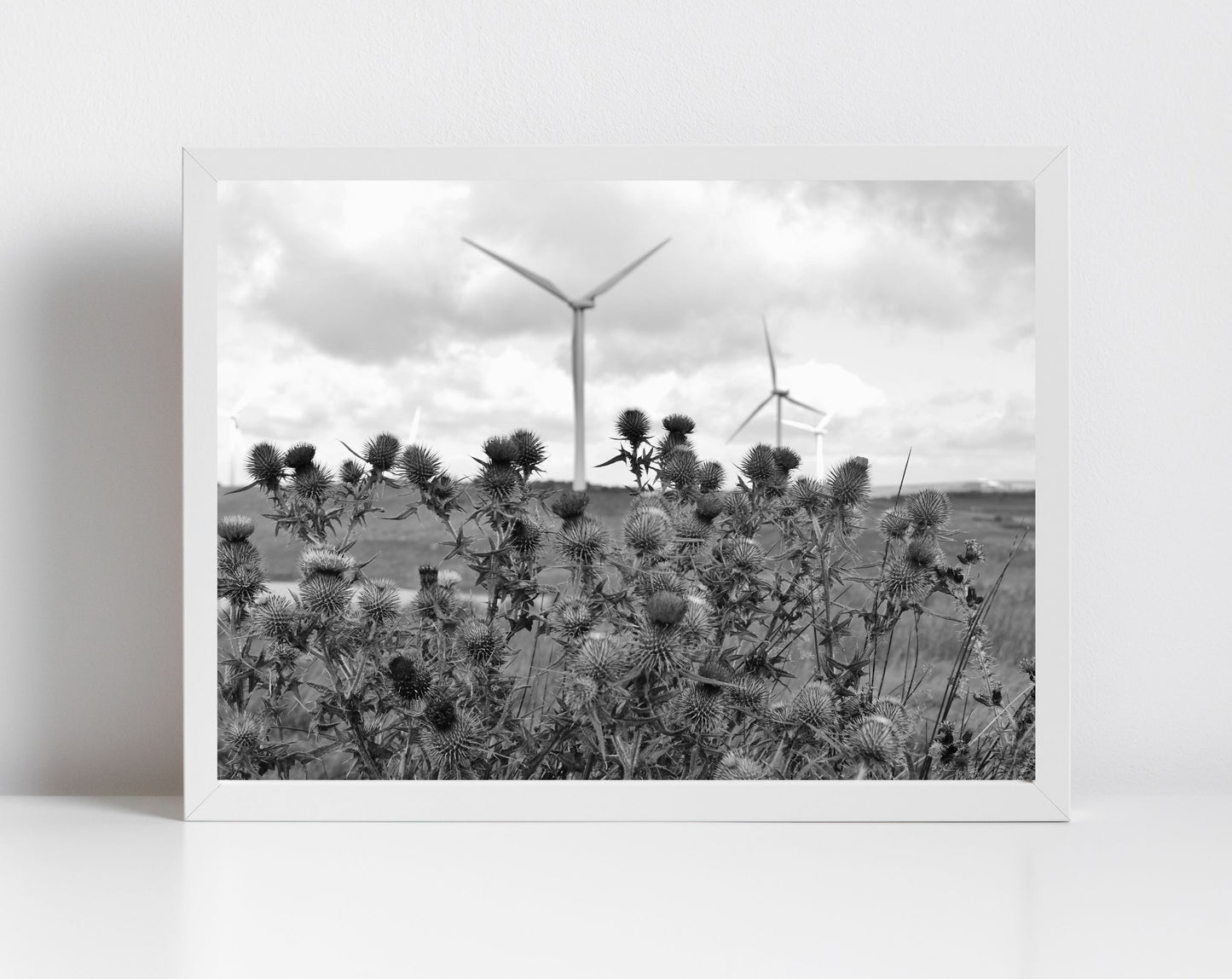 Whitelees Wind Farm Scottish Thistle Black And White Photography Print