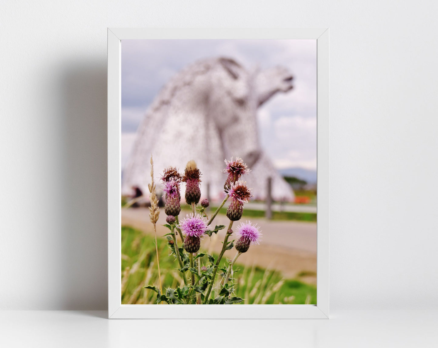 Scotland Photography Falkirk Kelpies Scottish Thistle Print