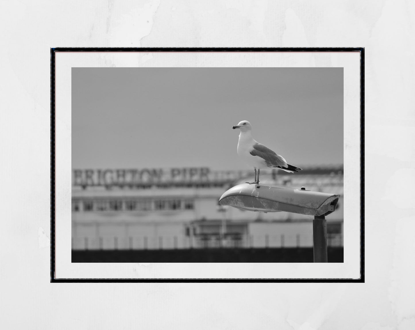 Brighton Palace Pier Black And White Photography Seagull Wall Art