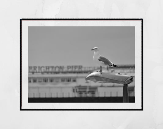 Brighton Palace Pier Black And White Photography Seagull Wall Art