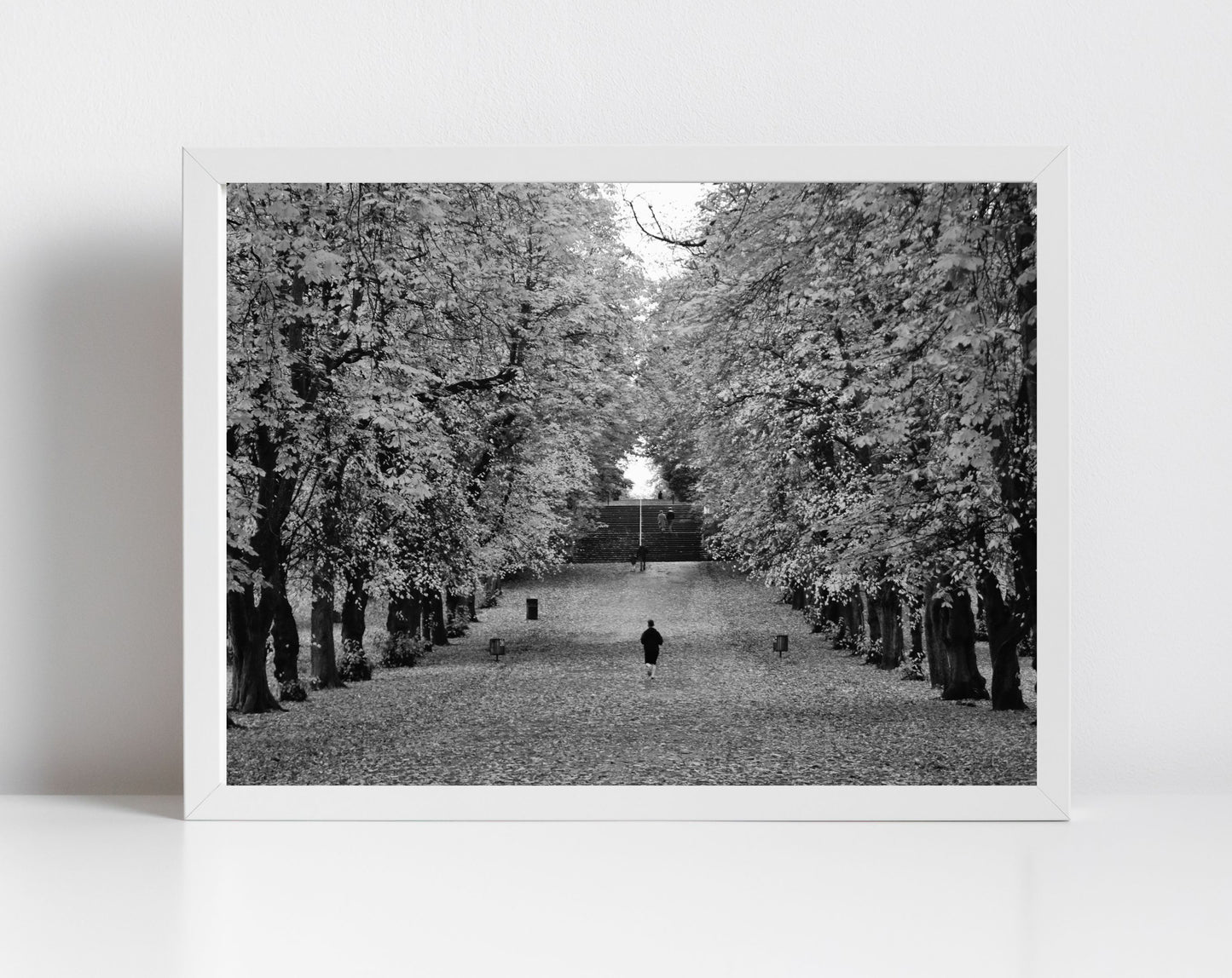 Glasgow Queen's Park Autumn Fall Foliage Black And White Photography Print Wall Art