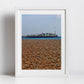 Brighton Photography Print Pebbled Beach Wall Art