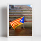 Catalonia Flag Poster