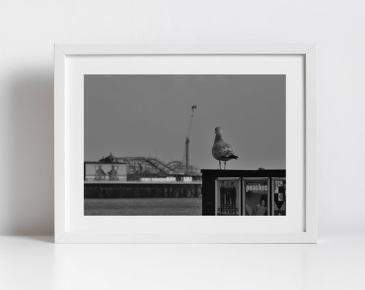 Brighton Palace Pier Photography Black And White Seagull Art