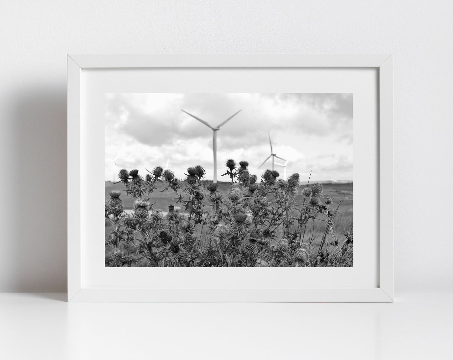 Whitelees Wind Farm Scottish Thistle Black And White Photography Print