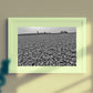 Folkestone Photography Pebble Beach Black And White Print