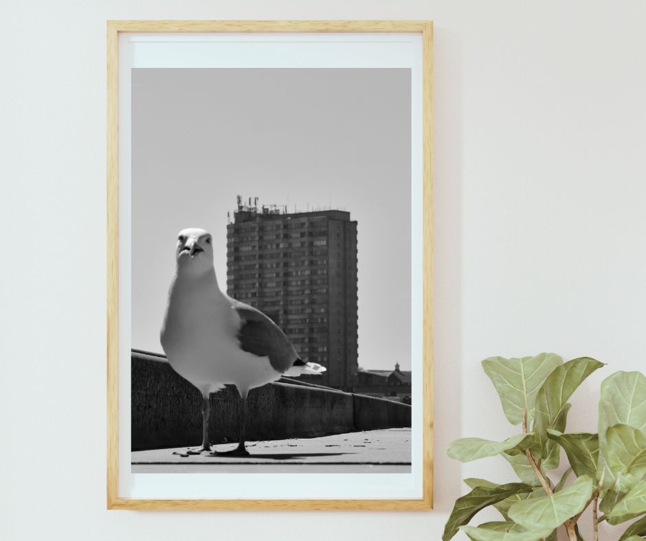 Margate Black And White Photography Print Seagull Wall Art