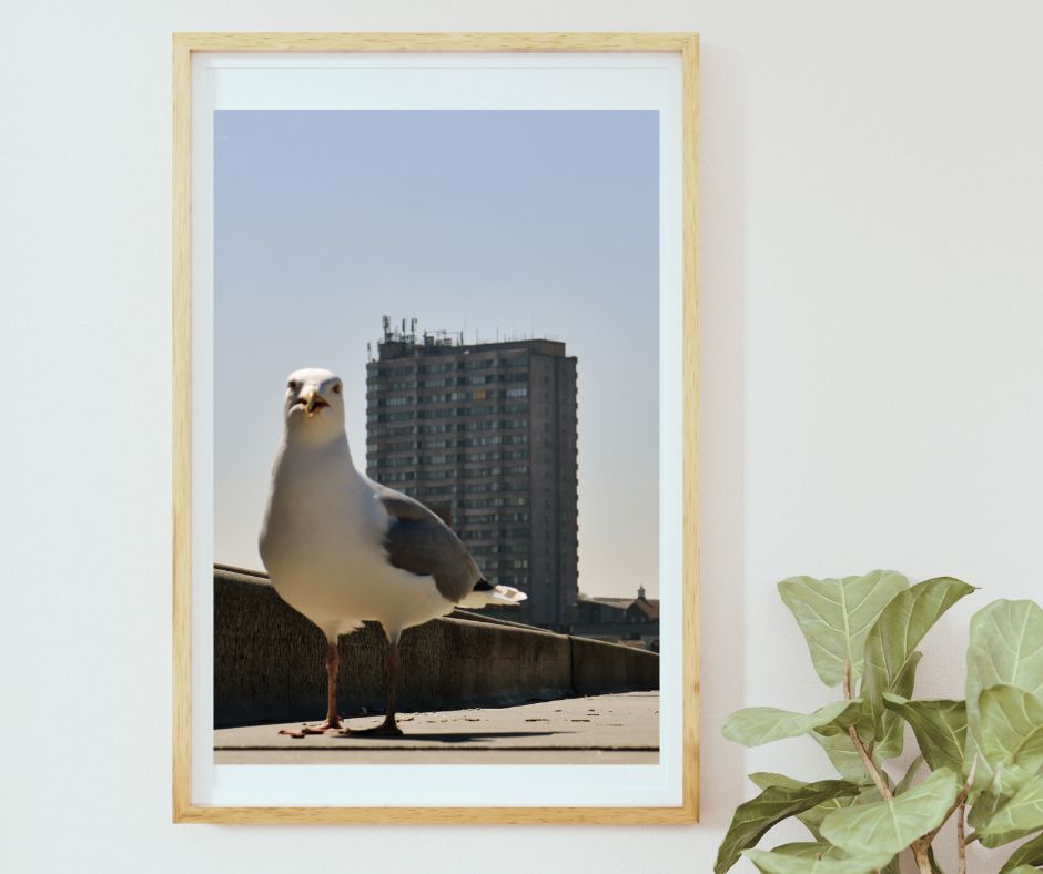 Margate Photography Print Seagull Wall Art