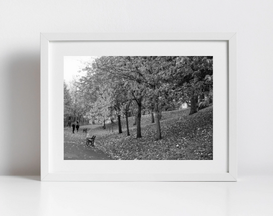 Kelvingrove Park Glasgow Black And White Photography Print