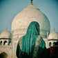 India Photography Indian Sari Taj Mahal Wall Art