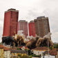 Glasgow Red Road Flats Demolition Brutalist Photography Print