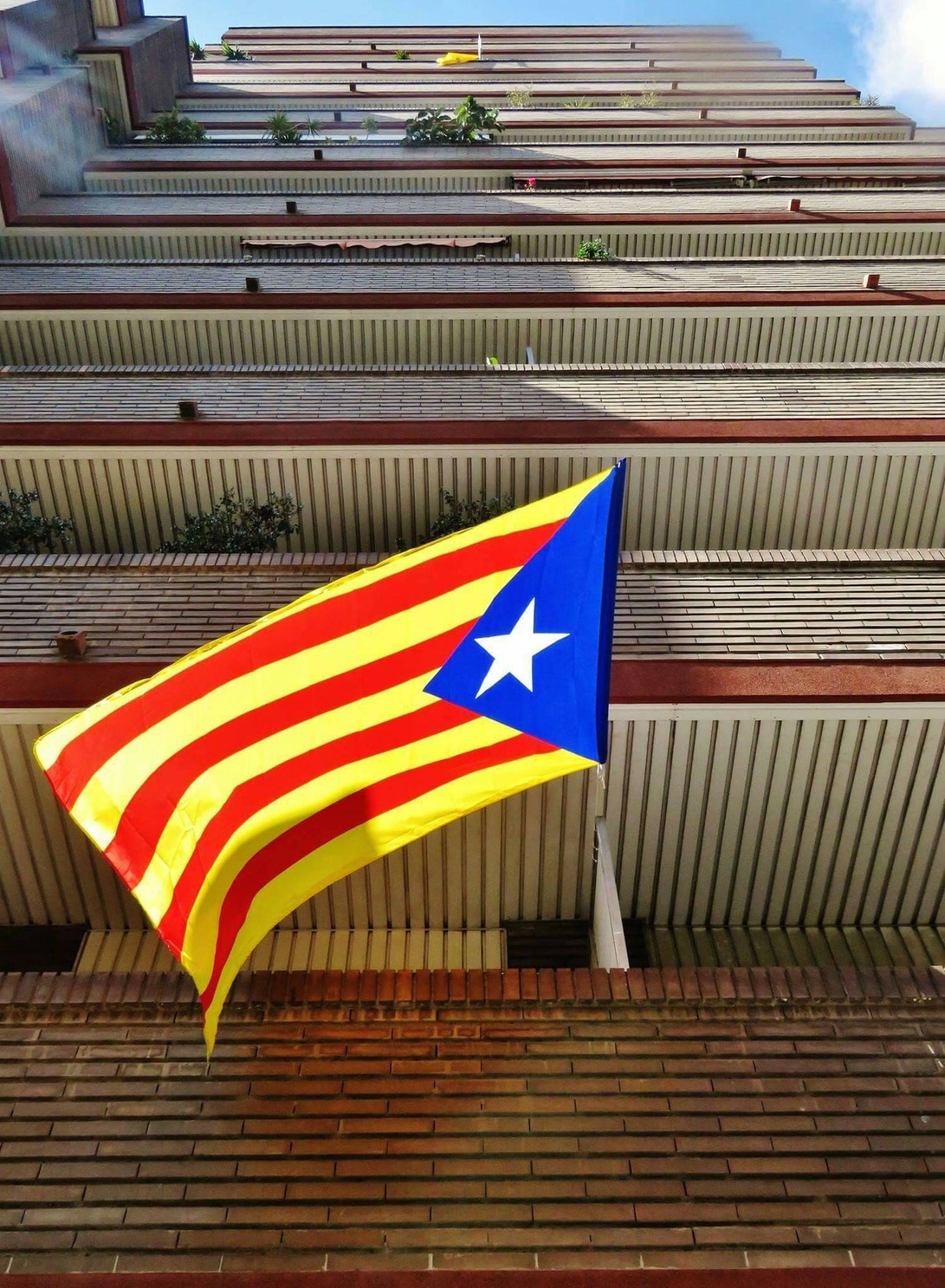 Catalonia Flag Poster