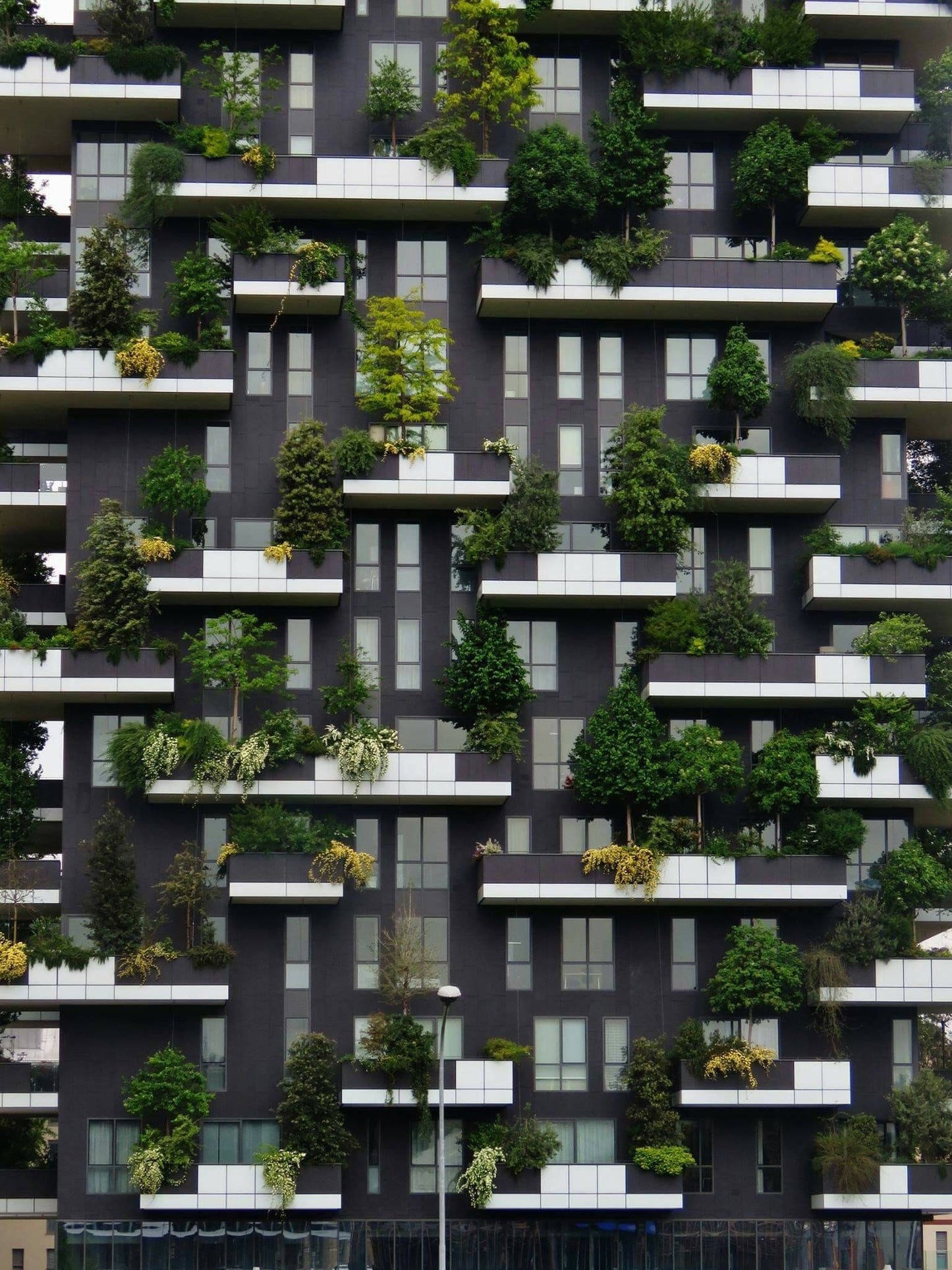 Milan Bosco Verticale Architecture Photography Print