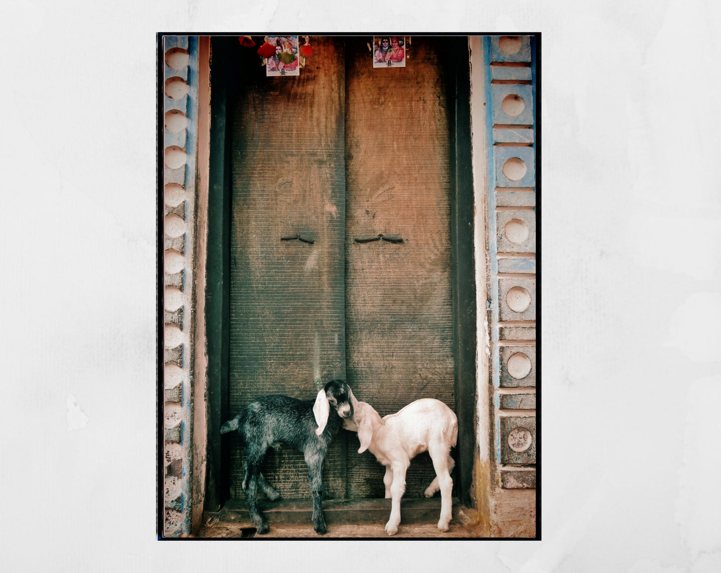 Goat Photography Varanasi India Wall Art