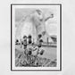 Falkirk Kelpies Scottish Thistle Black And White Print