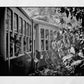 India Matheran Toy Train Black And White Photography Print