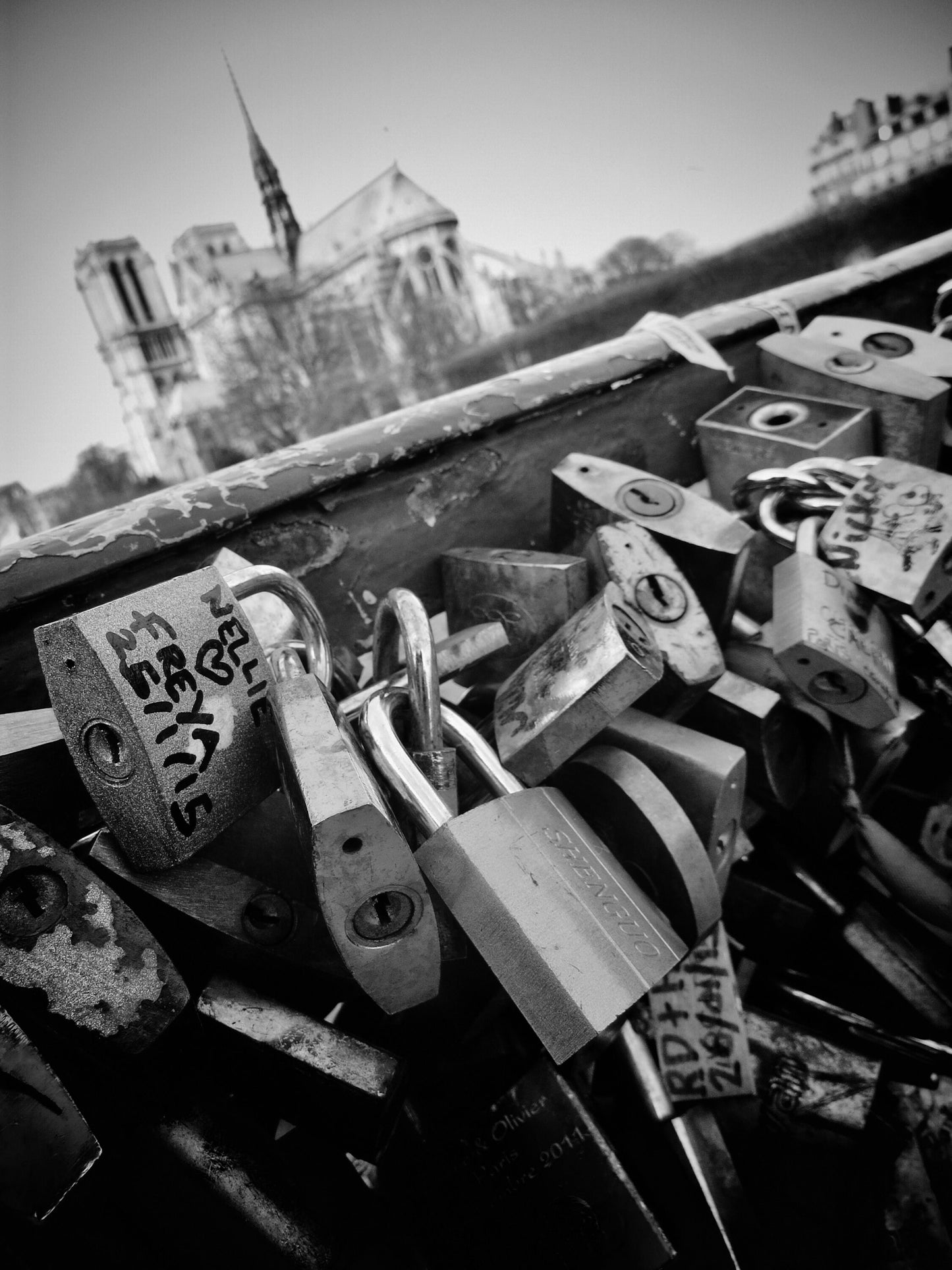 Pont des Arts Paris Love Lock Bridge Notre Dame Photography Print