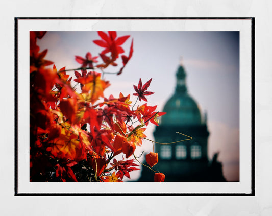 Prague Autumn Leaves Photography Print