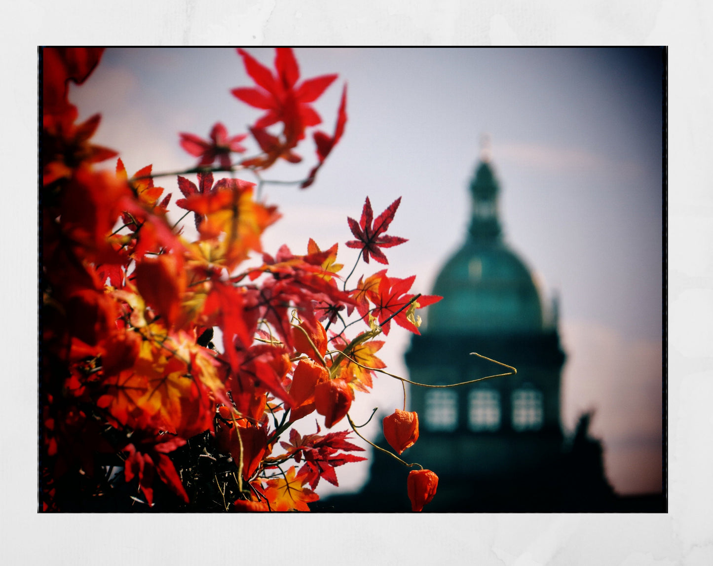 Prague Autumn Leaves Photography Print