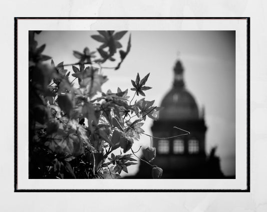 Prague Autumn Leaves Black And White Photography Print