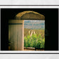 Batroun Lebanon Vineyard Photography Print