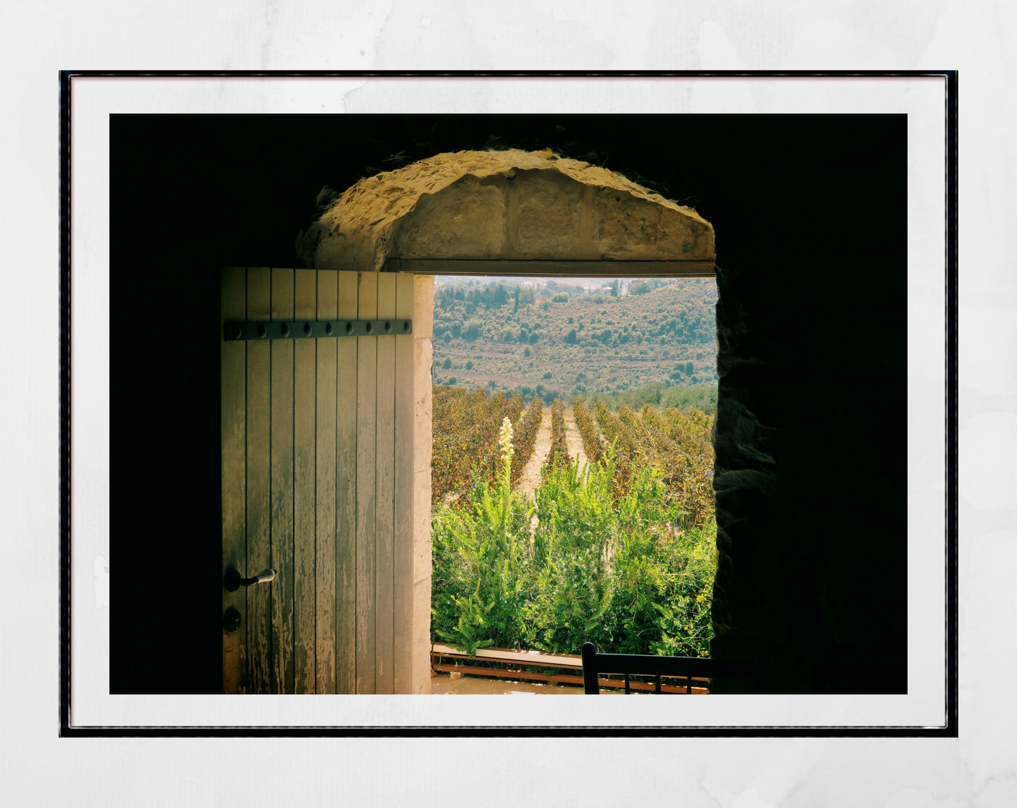Batroun Lebanon Vineyard Photography Print