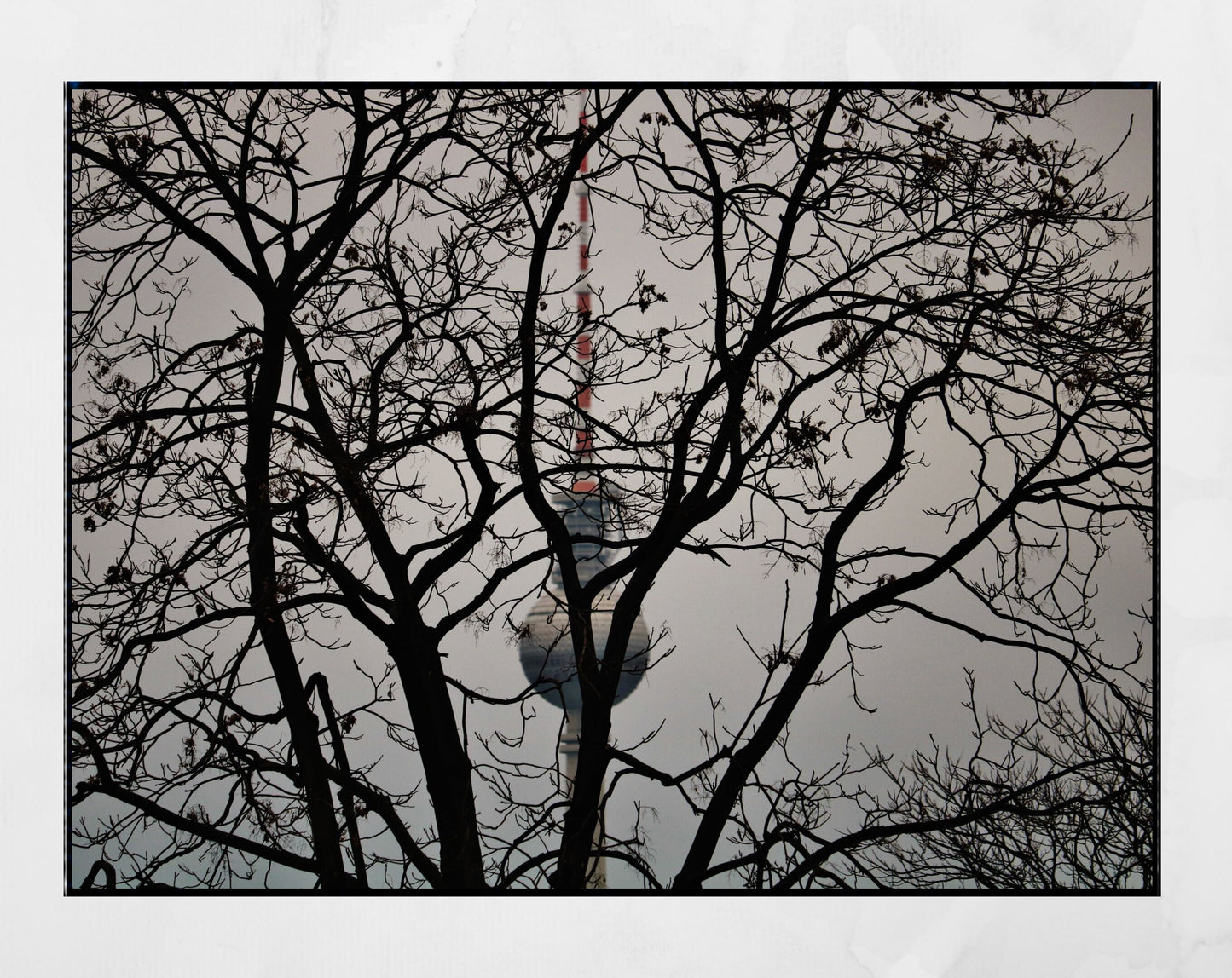 Berlin TV Tower Photography Print