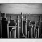 Glasgow Necropolis Photography Print