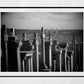 Glasgow Necropolis Photography Print