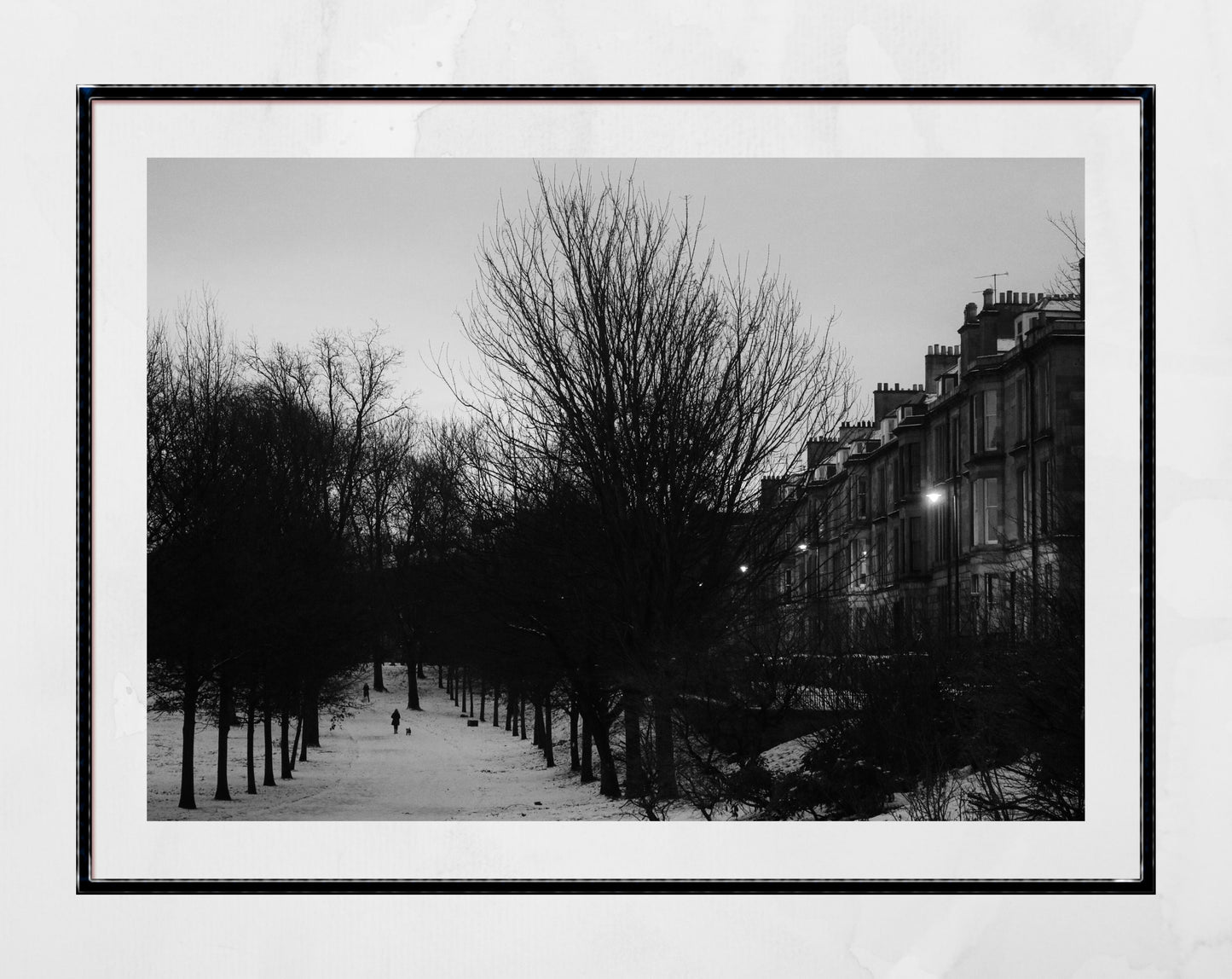 Glasgow West End Kelvingrove Park Photography Print