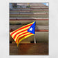 Catalonia Flag Poster