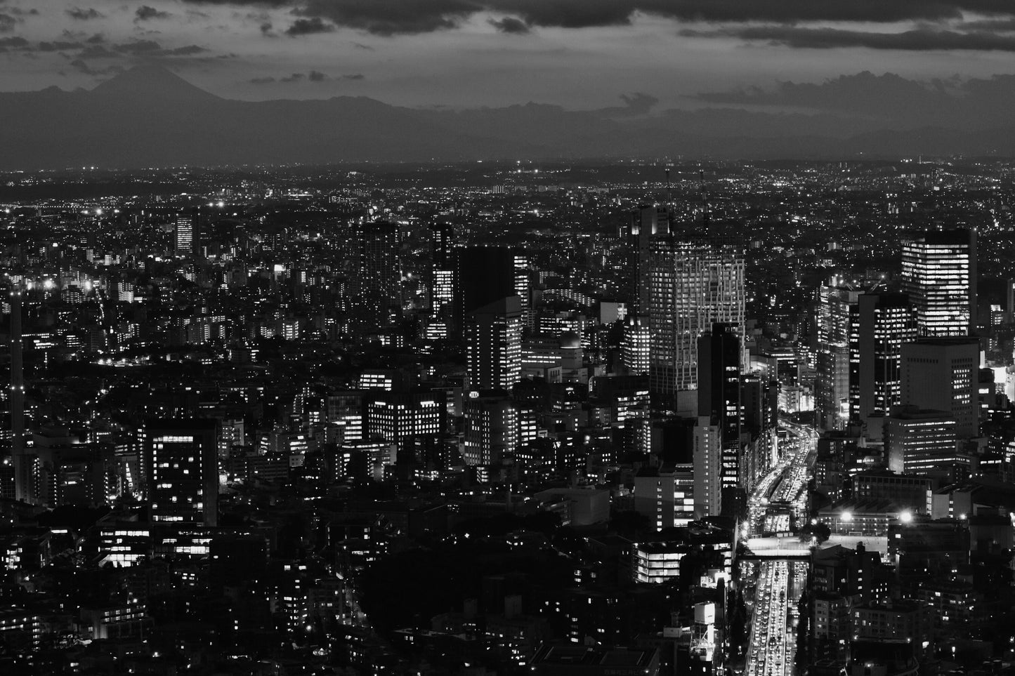 Tokyo Skyline At Night Black and White Photography Print