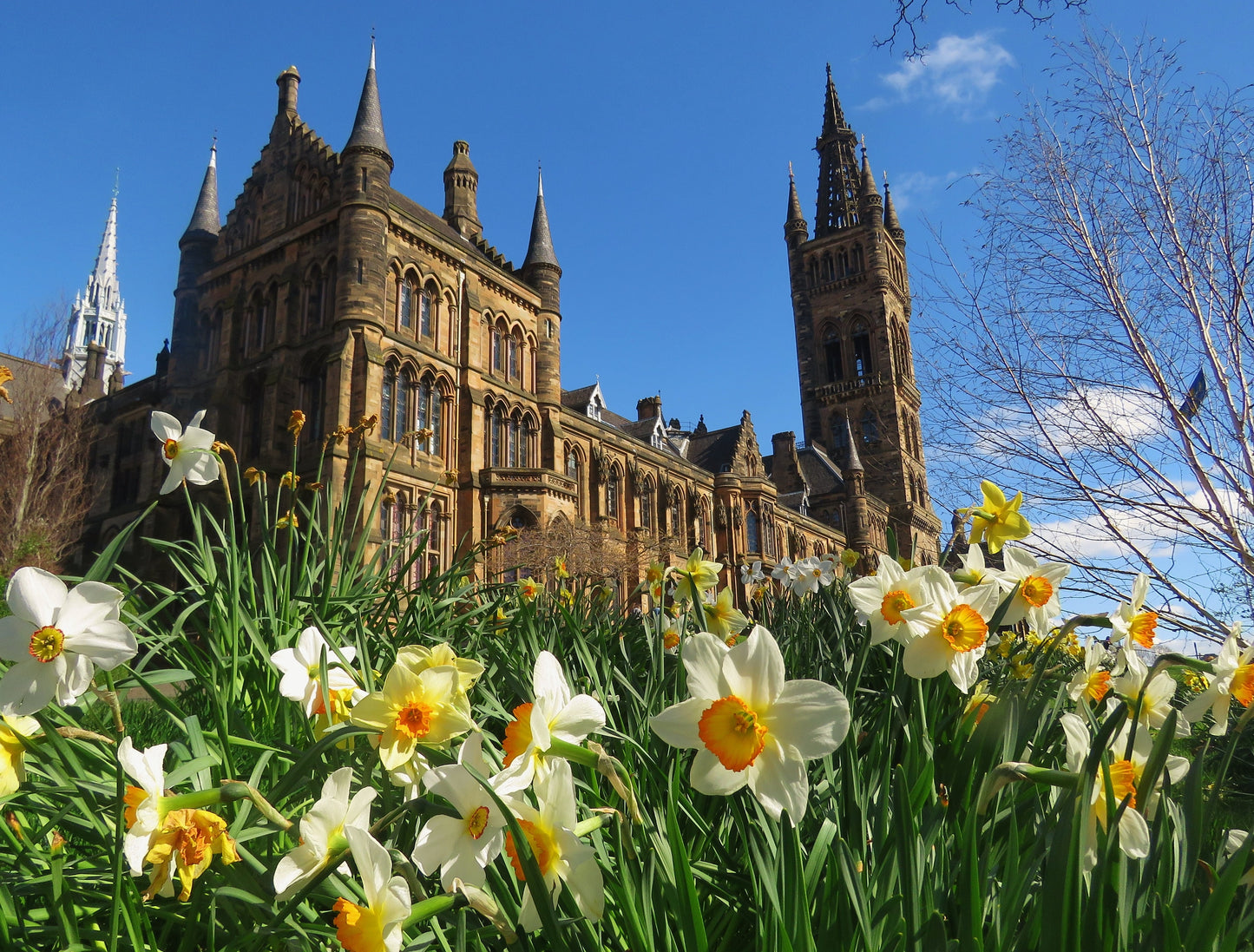 Glasgow University Spring Wall Art