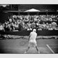 Wimbledon Tennis Photography Print