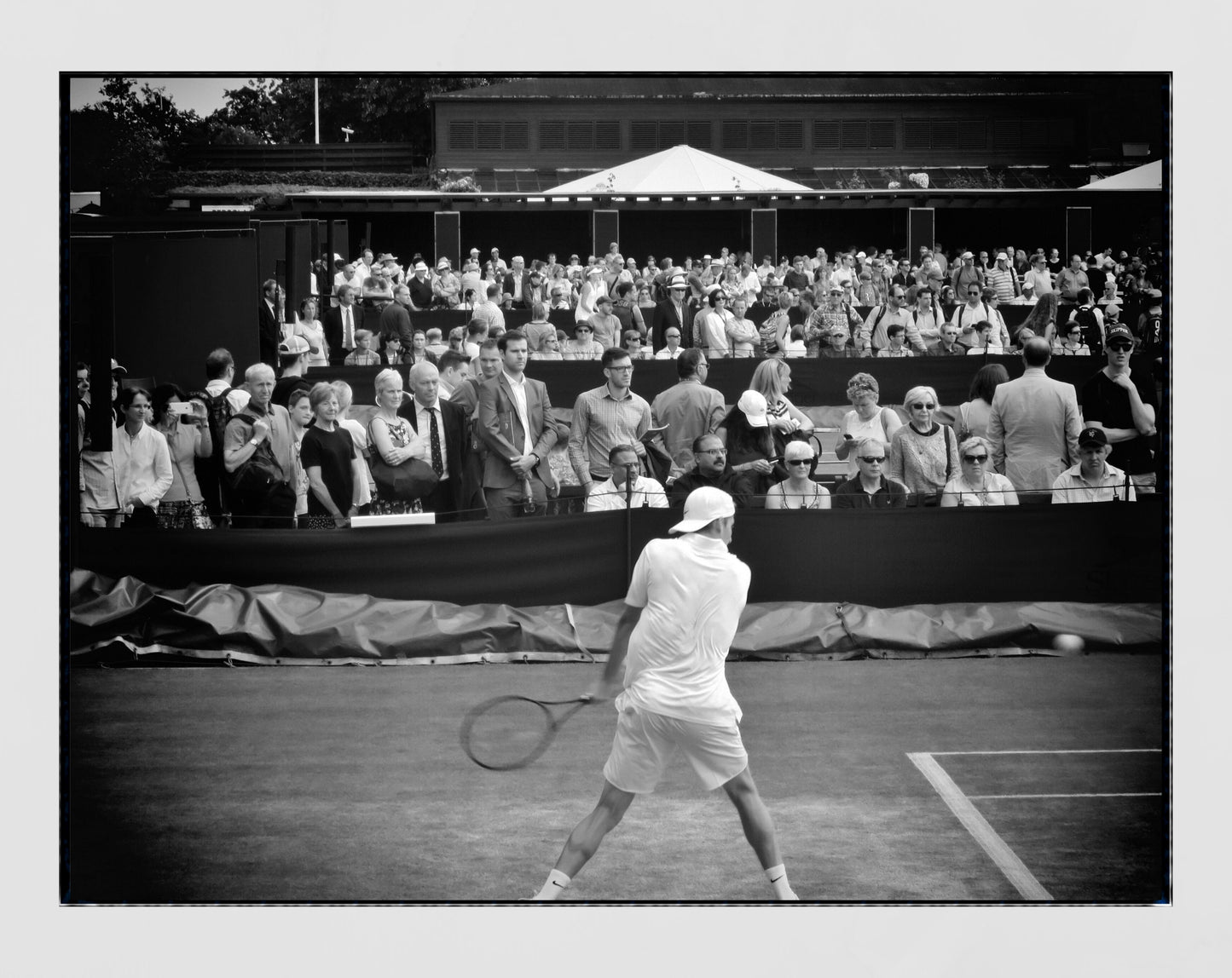 Wimbledon Tennis Photography Print