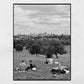 Primrose Hill London Black And White Photography