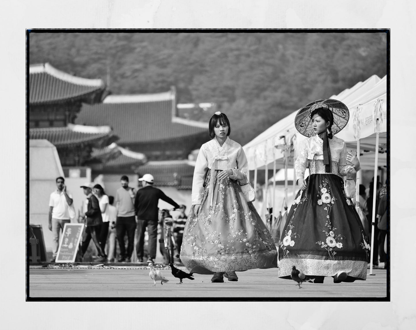 Korean Art Seoul Photography