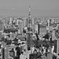 Tokyo Tower Skyline Poster Black And White Photography Print