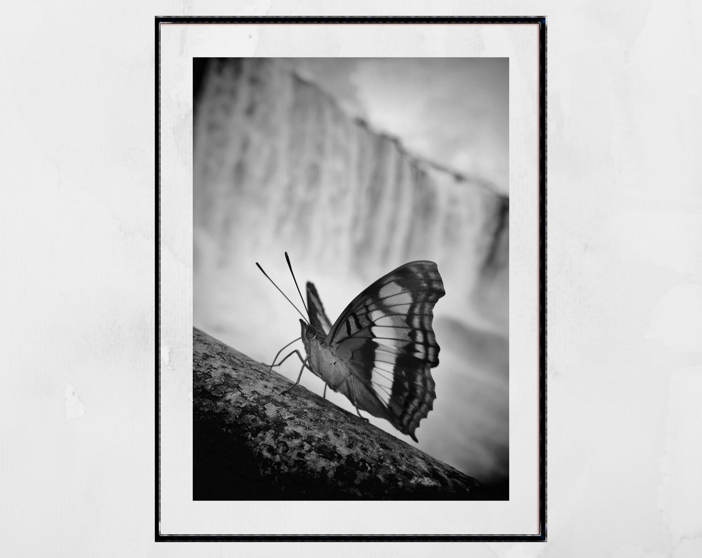 Iguazu Falls Poster Butterfly Black And White Print