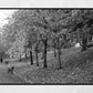 Kelvingrove Park Glasgow Black And White Photography Print