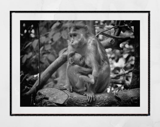 Baby Monkey Print Mother And Child Art