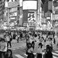 Shibuya Crossing Poster Tokyo Print