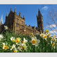 Glasgow University Spring Wall Art