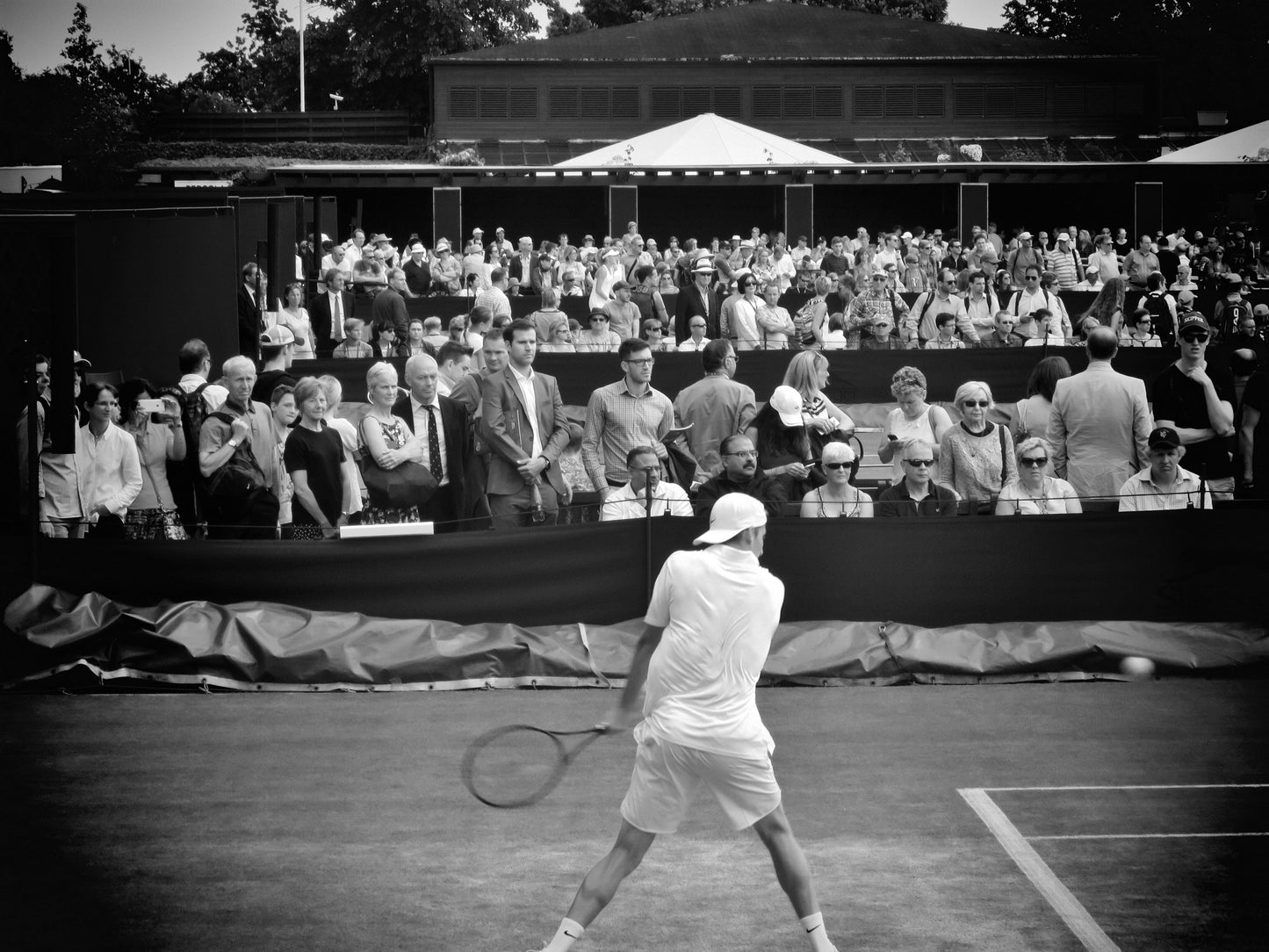 Wimbledon Tennis Photography Print