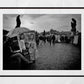 Charles Bridge Prague Black And White Photography Print