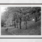 Kelvingrove Park Glasgow Black And White Photography Print